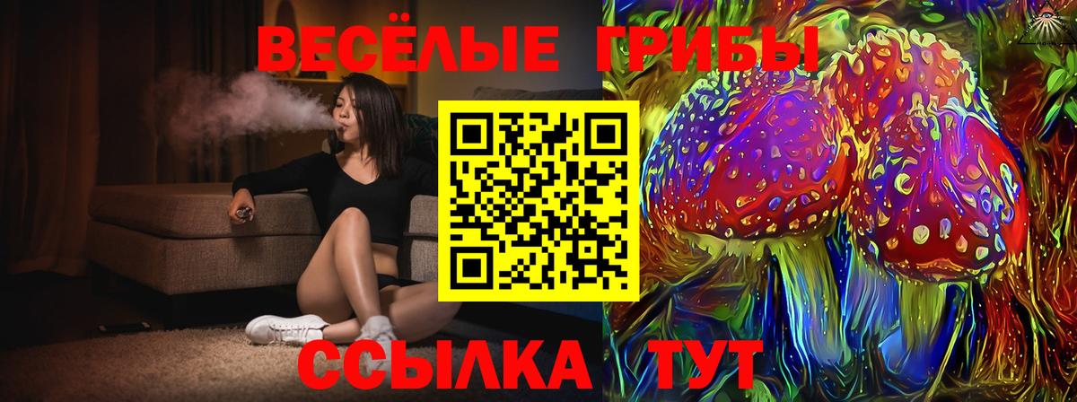 Абакан  Псилоцибиновые грибы Psilocybine cubensis  Вход с VPN 
